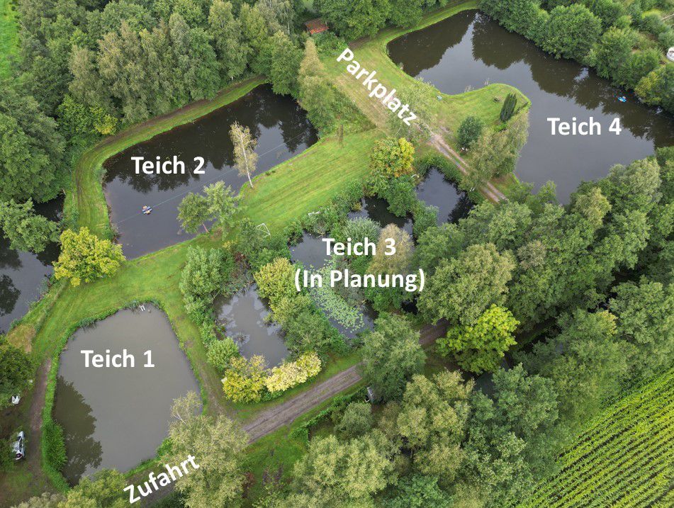 Teichplanung